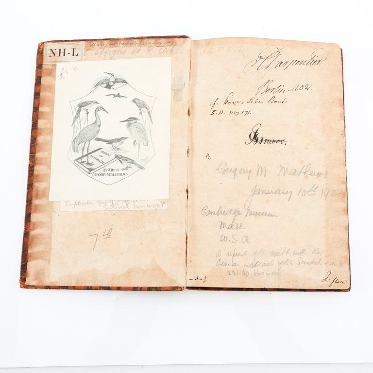 Carl von Linné, "Systema Naturae..." ,1748.