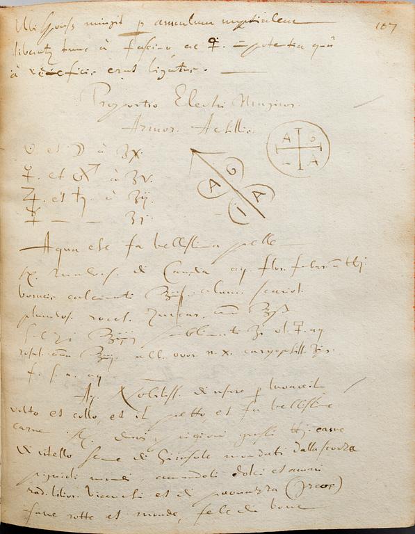 Manuscripts, from Queen Christina's 17th century library,  'Manuscript Medici I'.