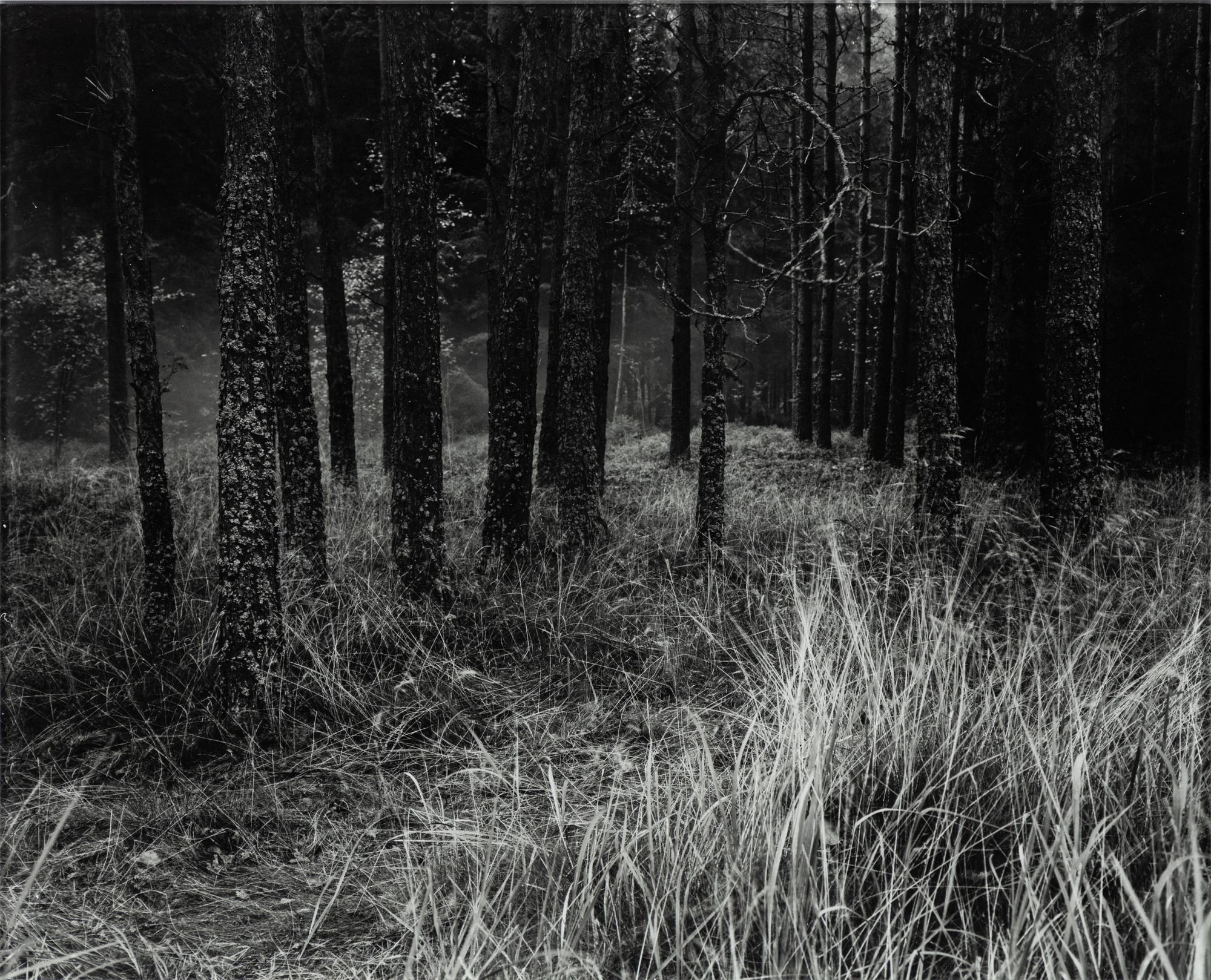 Denise Grünstein, "Malplacé", 2005.