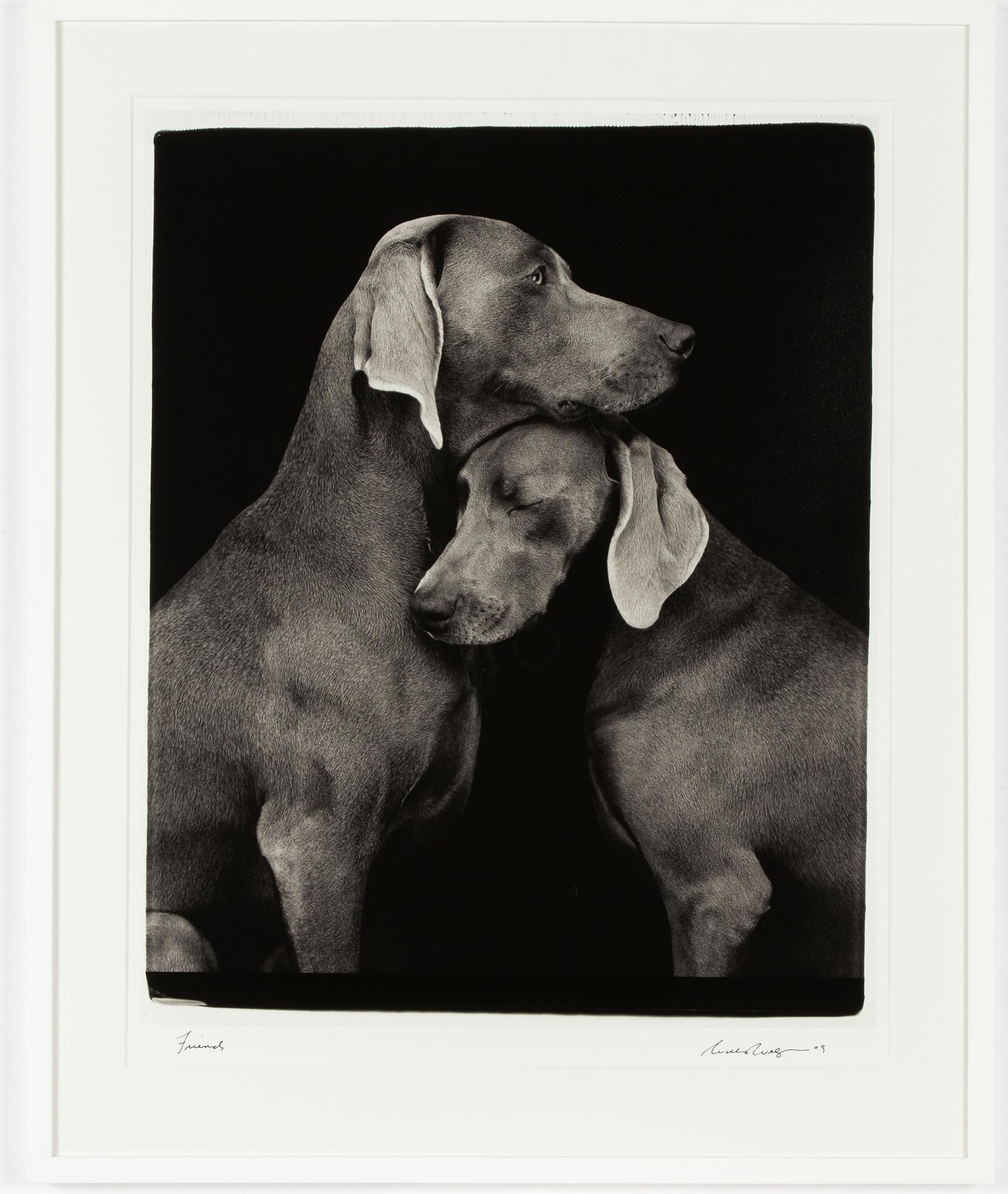William Wegman, "Friends".