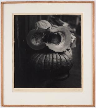 Louis Stettner, "Pumpkins", 1951.