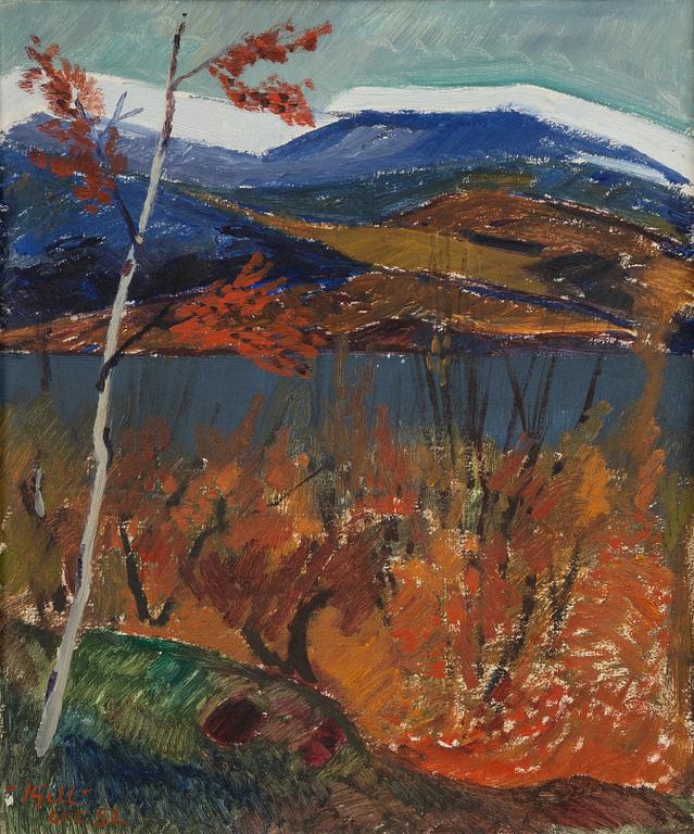 Kjell Leander-Engström, Mountain landscape.