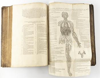 Andra och bästa upplagan av Vesalius’ anatomiska praktverk, 1555.