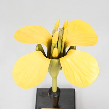 Robert Brendel & Carl Leopold Lohmeyer, A set of 4 educational materials / sculptures, "Botanic Flowers" by R. Bredel. Poland, turn of the 20th century.