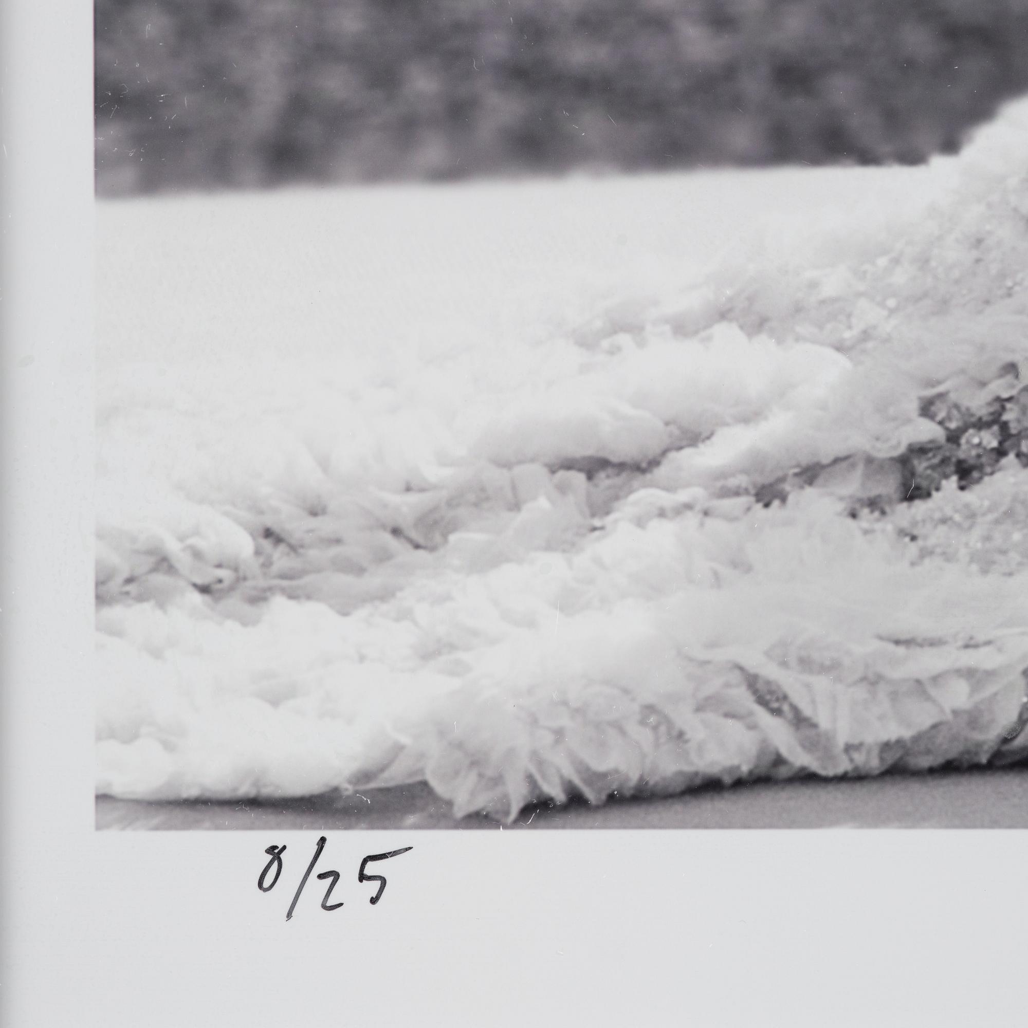 Rickard L Eriksson, "Kronprinsessan Victoria och Prins Daniel", 2010.