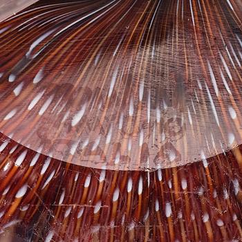 Paolo Venini, a burgundy and white "Murrina" bowl, Italy 1950's.