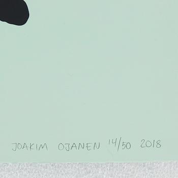 Joakim Ojanen, "Duck Head with Smiley Hat".