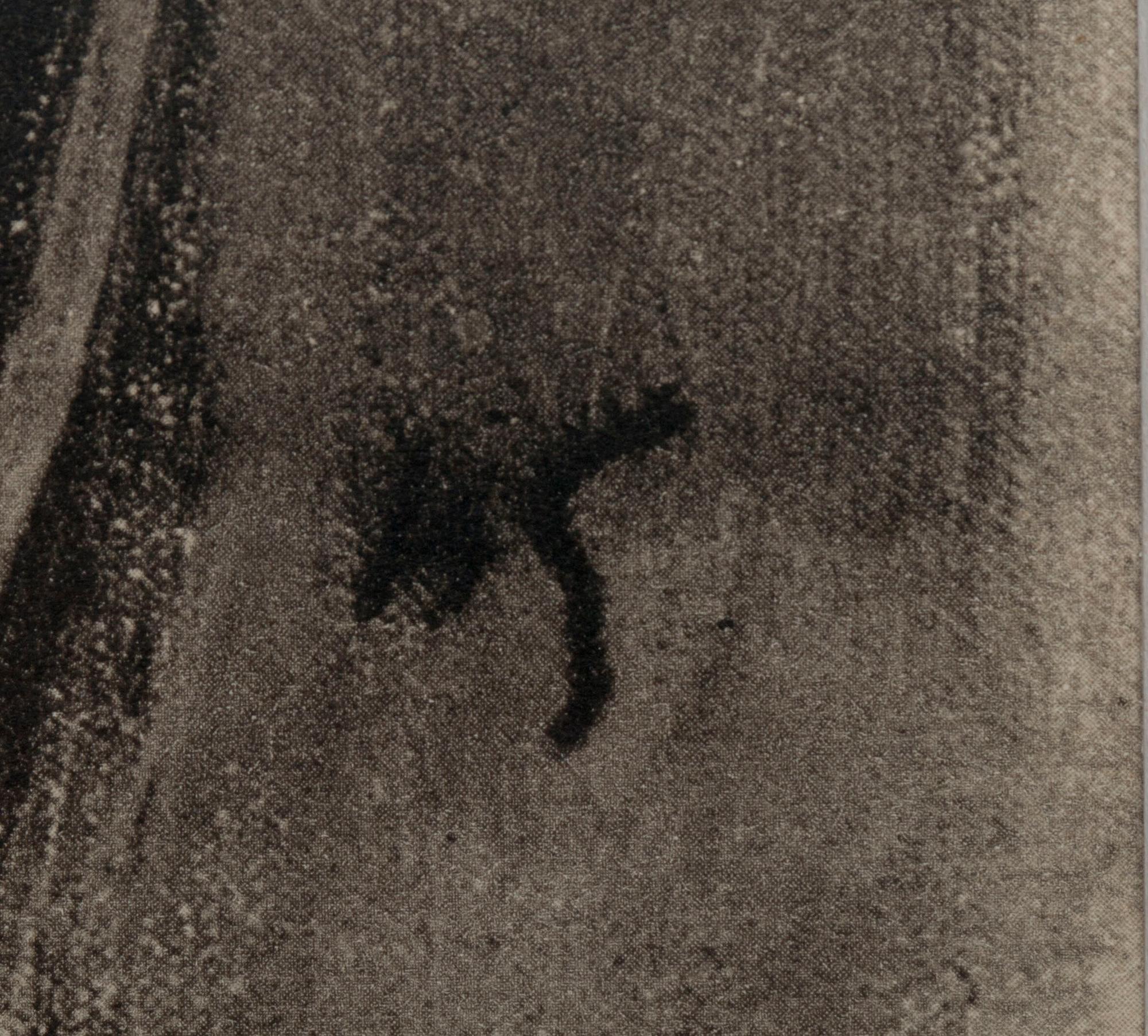 HELENE SCHJERFBECK, heliogravyrer, 4 st.