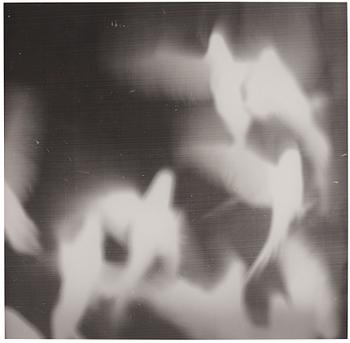 163. Adam Fuss, Ur serien "My Ghost", 1999.