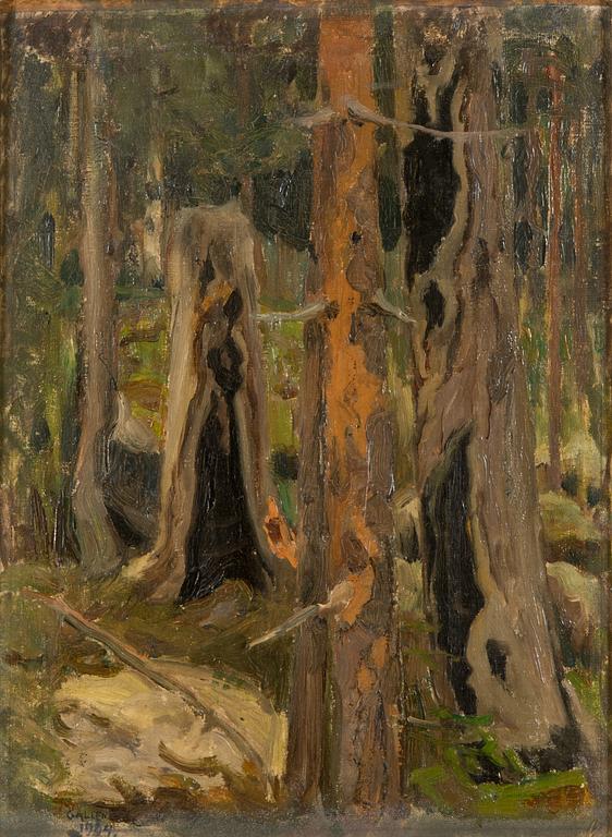 Akseli Gallen-Kallela, "Brunnen skog".