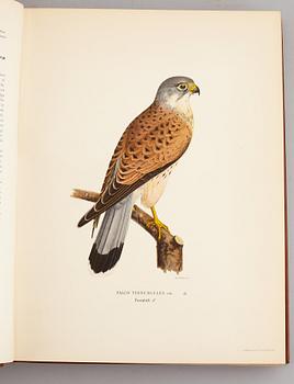 A set of three books about Swedish birds by von Wright. 1927.
