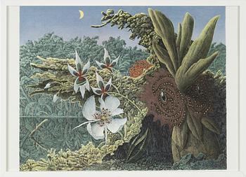 Anders Pehrson, lithograph in colours, signed, dated 83, provtryck.