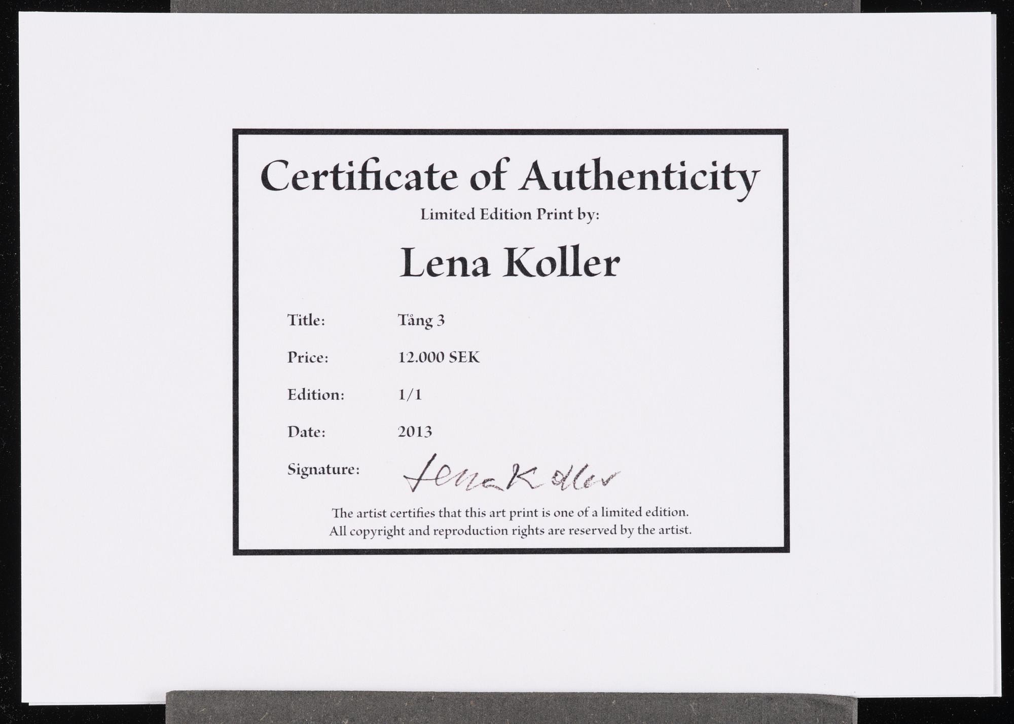 Lena Koller, "Tång", 2013.