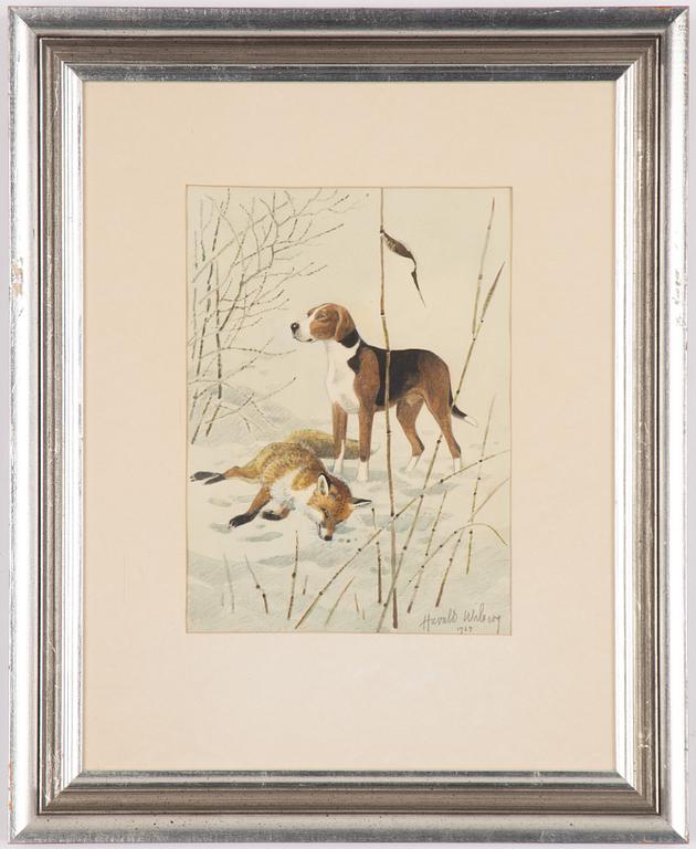 Harald Wiberg, Beagle och räv.