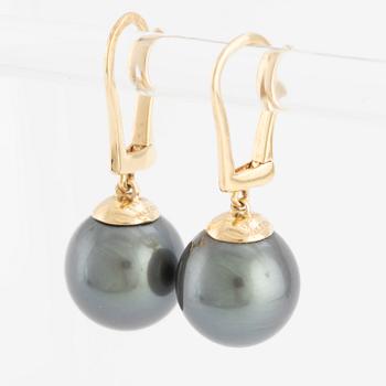 A pair of earrings in 14K gold with cultured pearls, likely Tahitian pearls.