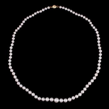 PÄRLCOLLIER, graderade sötvattenspärlor, lås i 14K guld.