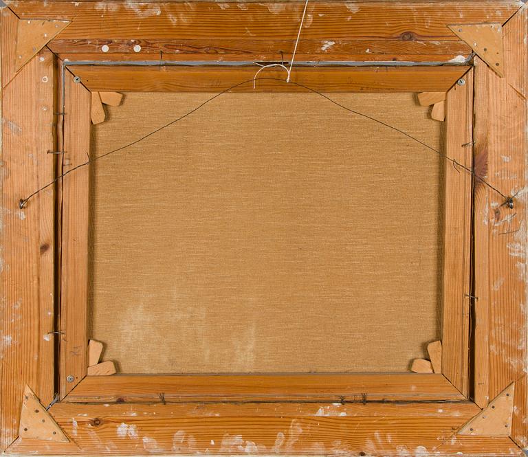 Wilho Sjöström, Lake view.