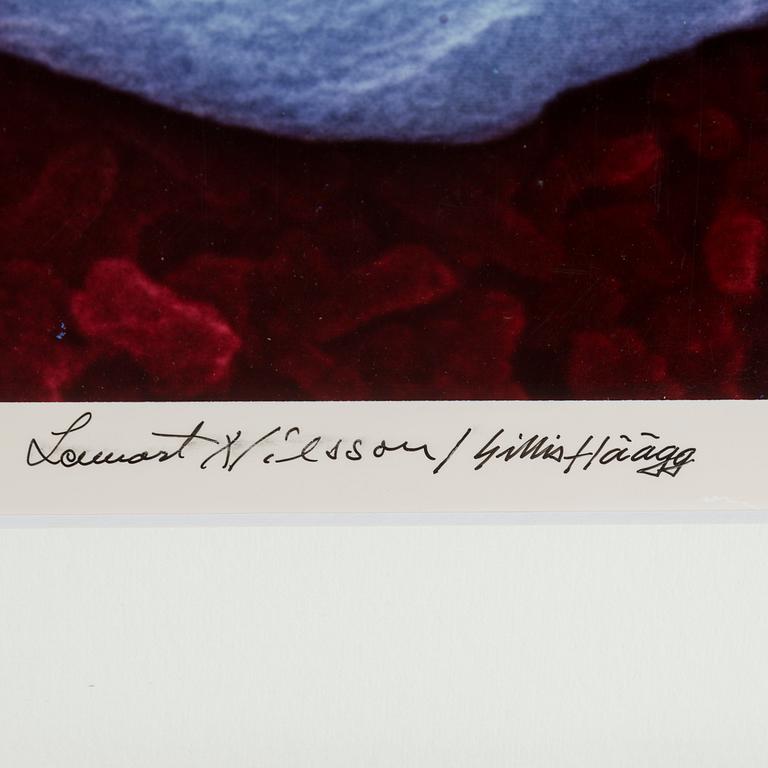 LENNART NILSSON & GILLIS HÄGG, cibachrome, signed and numbered 22/75.