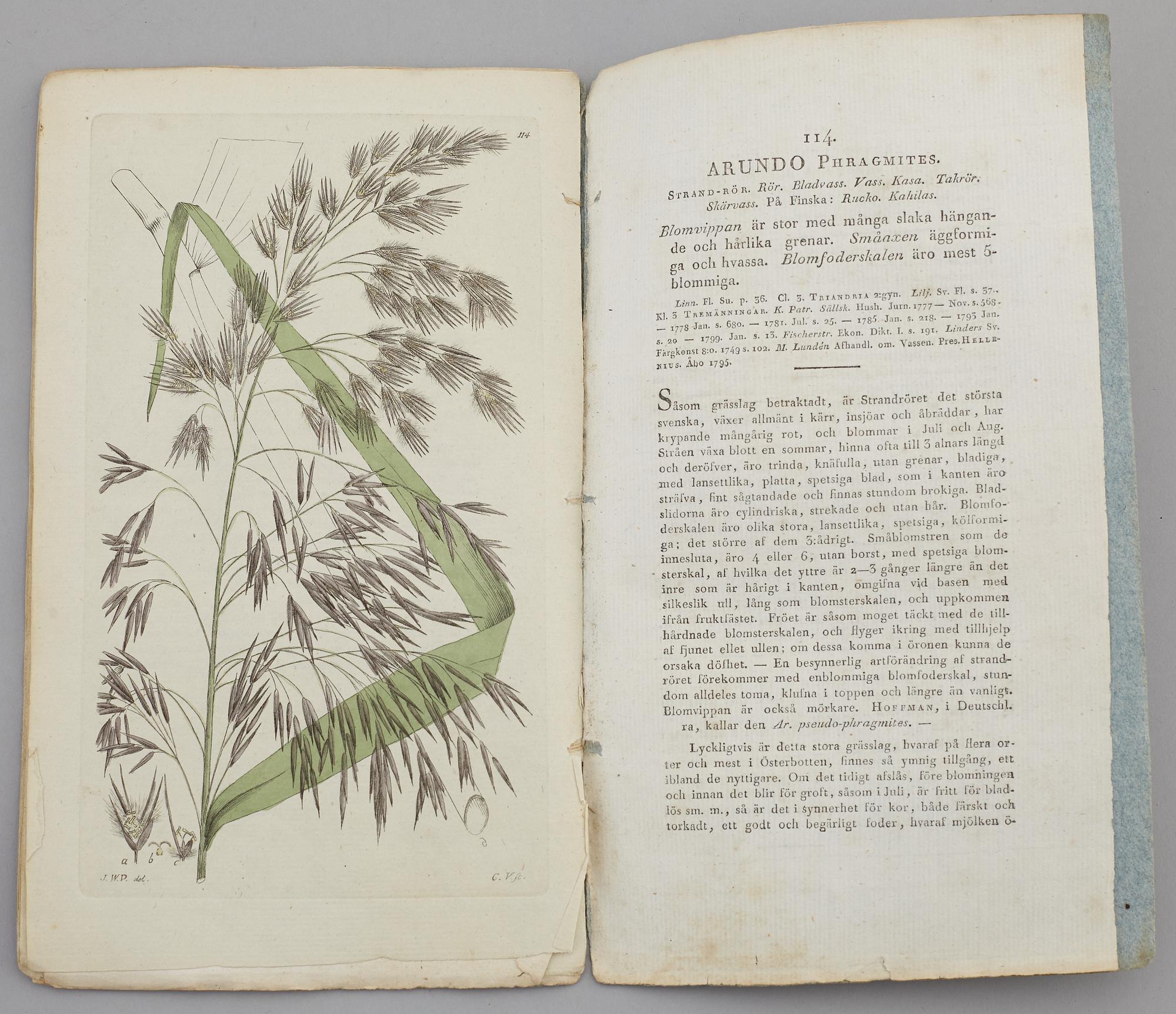 JOHAN WILHELM PALMSTRUCH, "Svensk Botanik, vol I-V. 1803-1805.