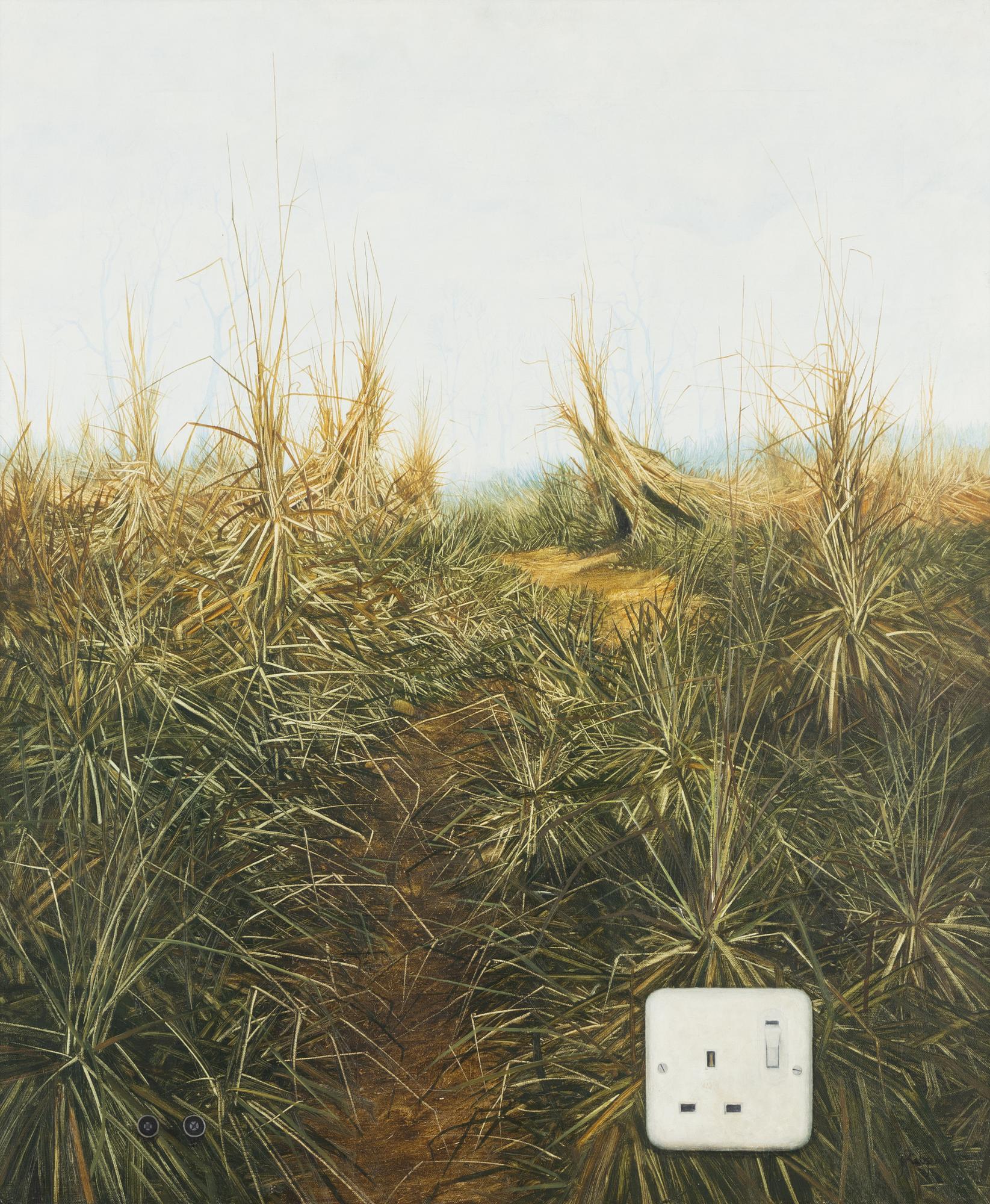 John Ridgewell, "Socket".