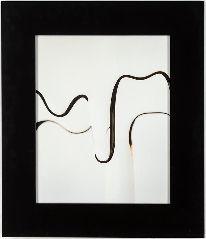 DAWID, photography signed and.