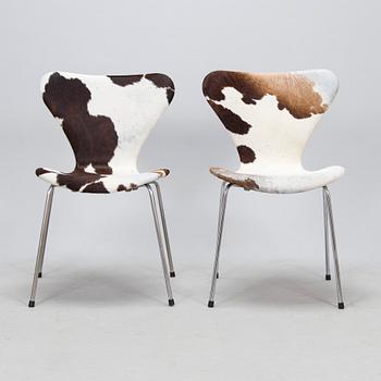 Arne Jacobsen, stolar, 6 st, "Sjuan", Fritz Hansen. 1900-talets slut.