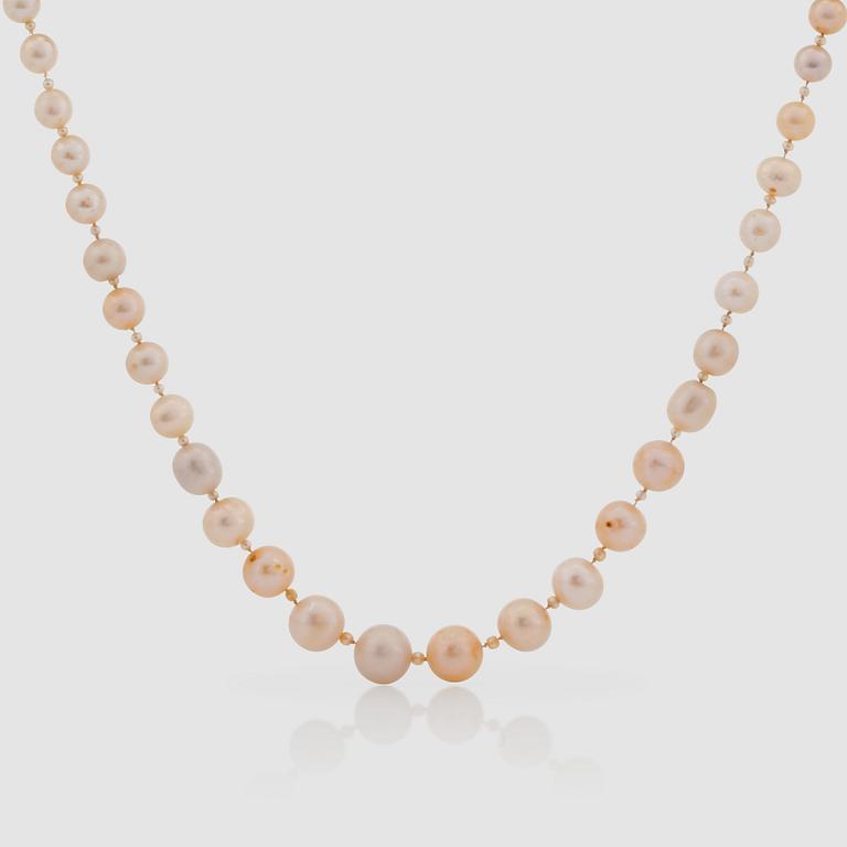 PÄRLCOLLIER, doserade, troligen svenska naturliga sötvattenspärlor (flodpärlor) 4.8 - 9.5 mm.
