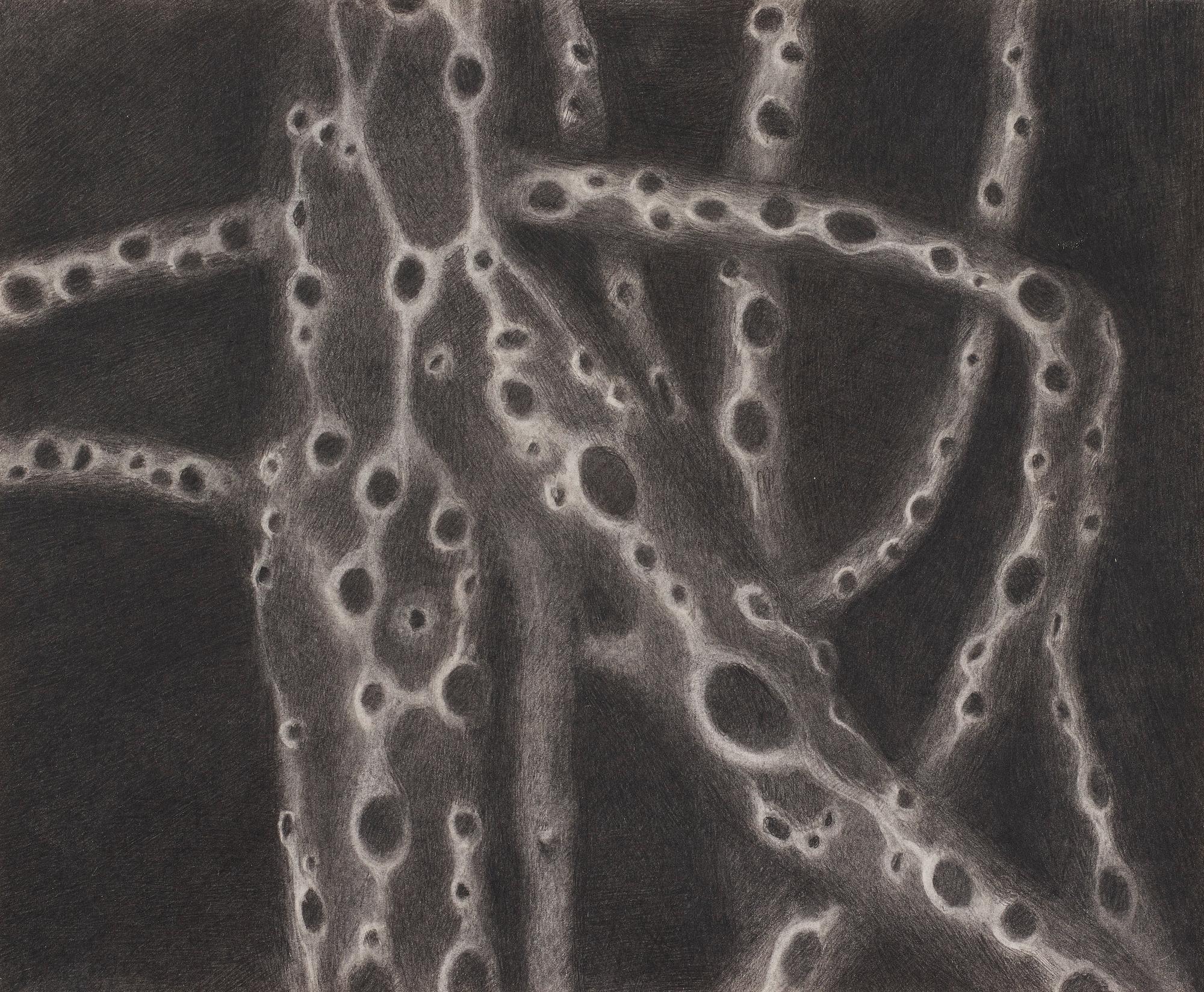 Christine Ödlund, "Mycelium".