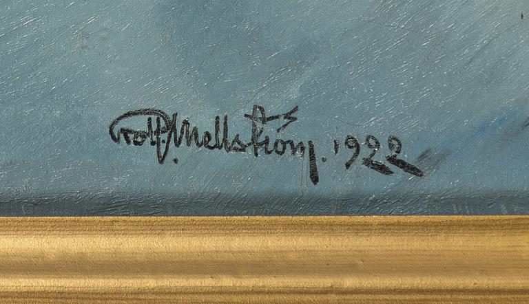 Rolf Mellström, Sea Bird in Flight.