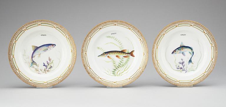 A set of 22 Royal Copenhagen 'Fauna Danica' dinner plates, 20th Century.