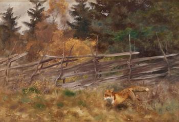 755. Bruno Liljefors, Fox in autumn landscape.