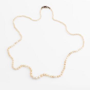 Pärlcollier, med doserade pärlor, lås guld med två gammalslipade diamanter och rubin.