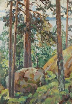 Anna Snellman, Forest view at the shore.