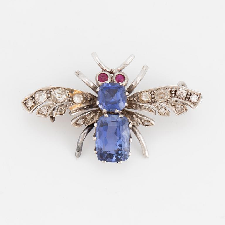 A brooch in the shape of a fly.