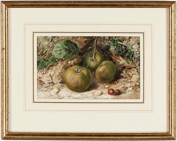 William Henry Hunt · WILLIAM HENRY HUNT, akvarell, signerad.
