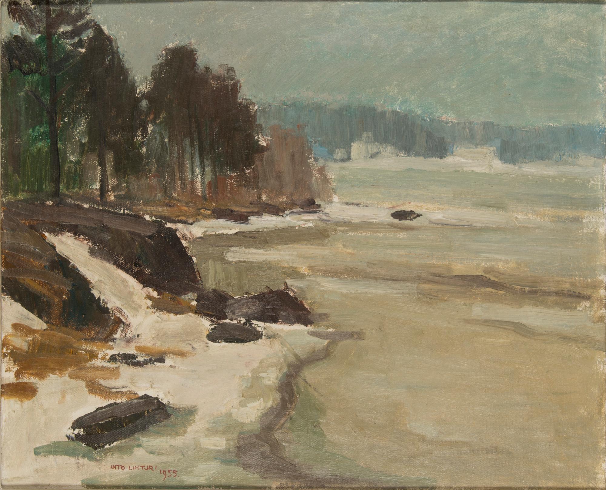 Into Linturi, 'Köyliönjärvi'.