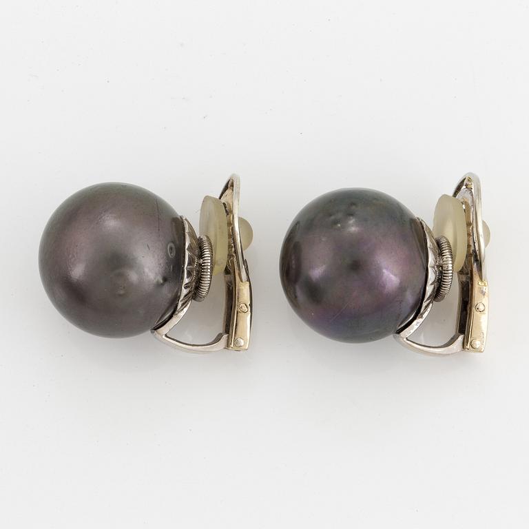 Cultured Tahiti pearl earrings.
