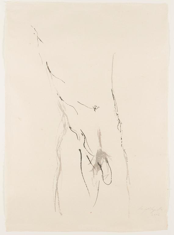 Marjatta Tapiola, Torso.