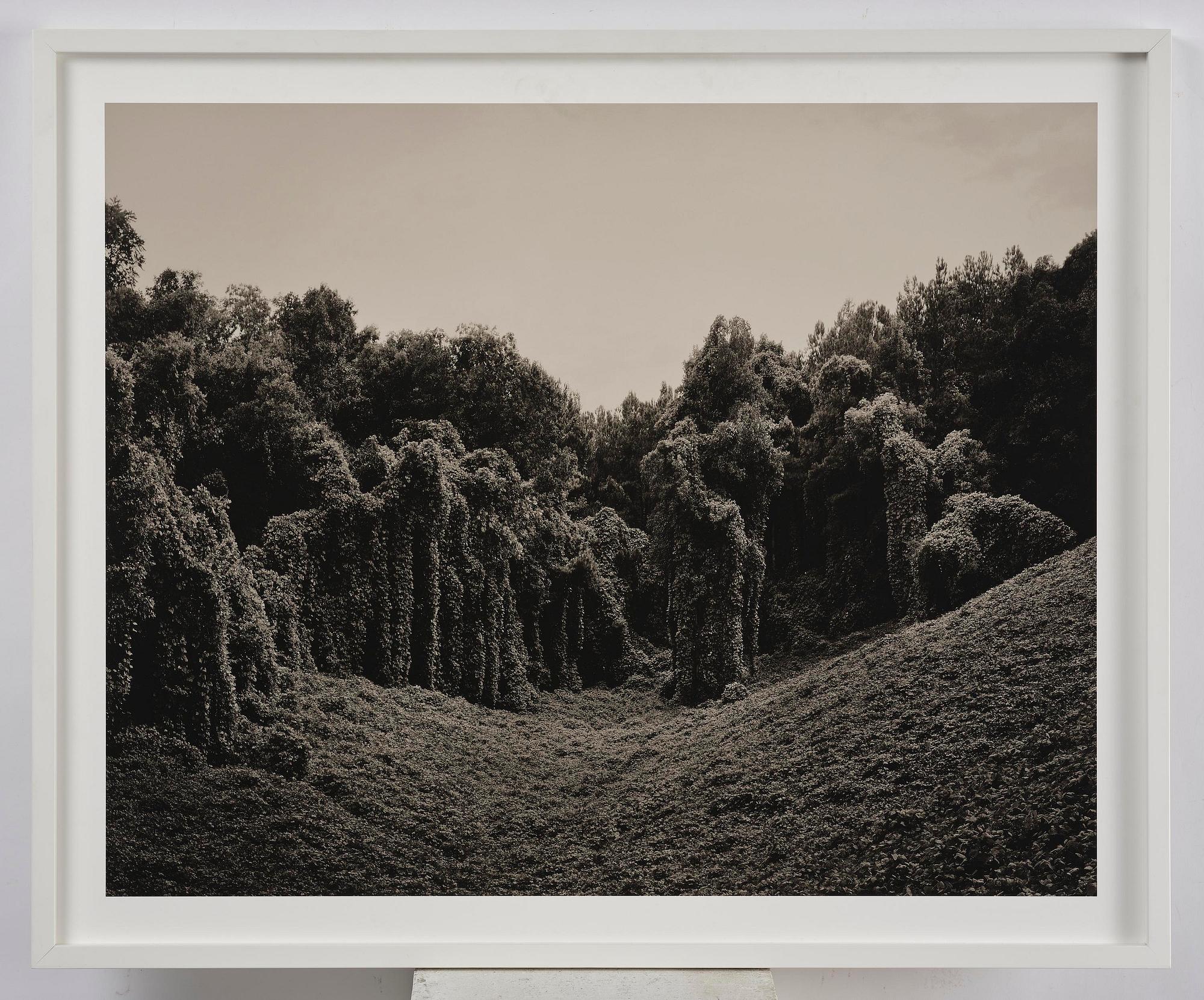 Helene Schmitz, "Alabama Fields", 2013.