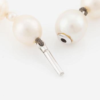 A cultured pearl necklace.