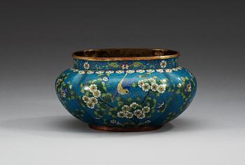 A cloisonné jardiniere, Qing dynasty, 19th Century.