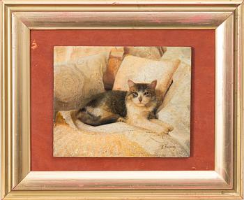 Laura E. Cassidy, Katt.