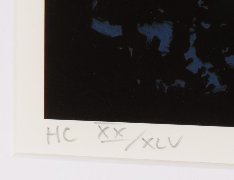 Martin Wickström, "Bourani".