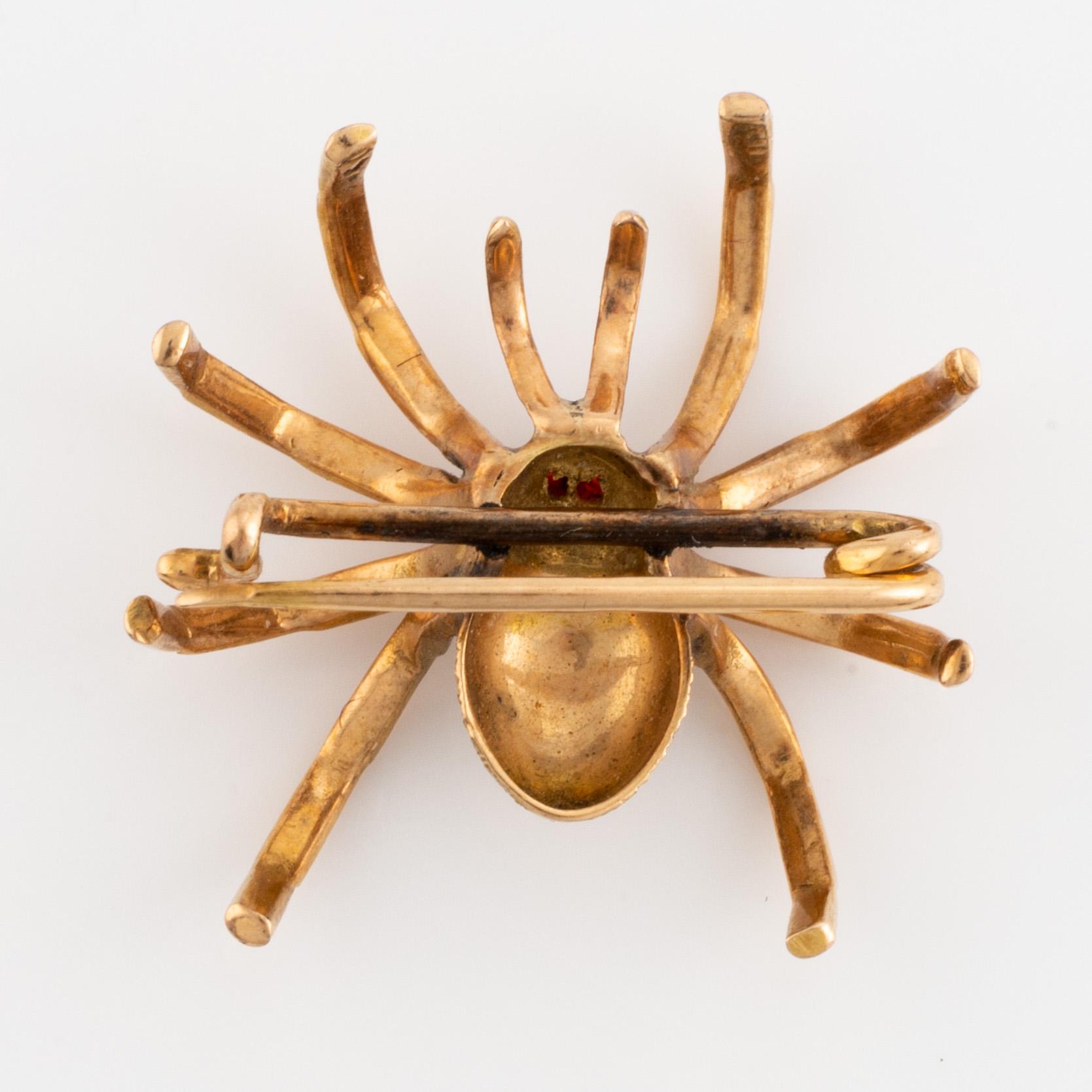 Gold spider brooch.