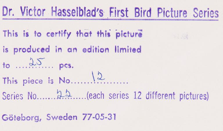 VICTOR HASSELBLAD, fotografier, 12 st, signerade, daterade och numrerade, ur serien nr 22.