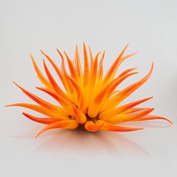 Jonas Rooth, 'Agave'.