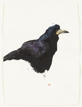 Karl Mårtens, Untitled.