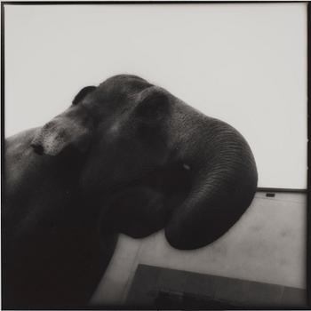 227. "Skansen", 1987.