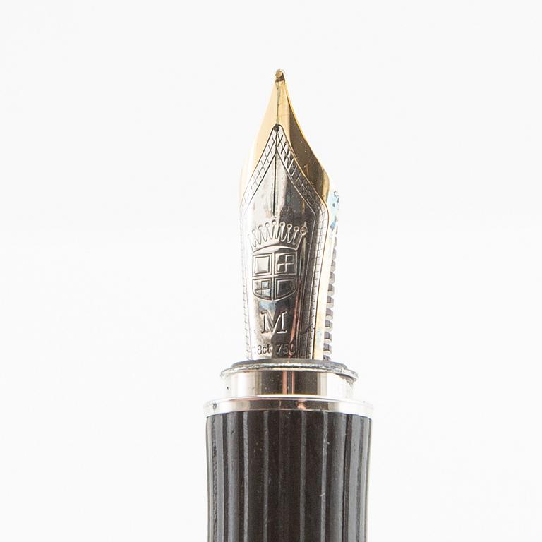 Fountain pen Graf Faber Castell.