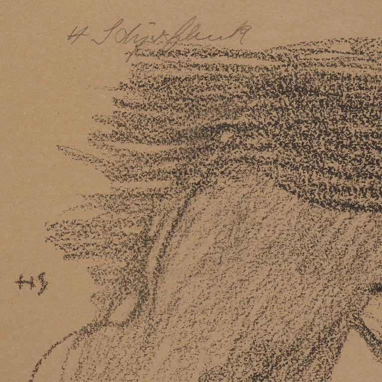 Helene Schjerfbeck, "Bilderboken".
